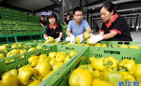 农业银行能逾期几回还房贷，逾期还款：农业银行对房贷的容忍度有多高？