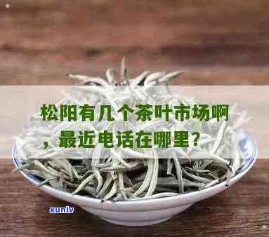 松阳县茶叶场在哪里，寻找好茶？探究松阳县茶叶场的位置！