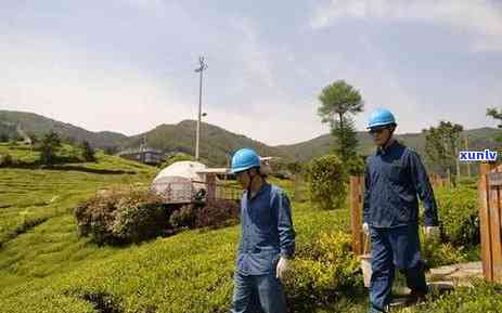 嵊州三王堂茶叶市场-嵊州三王堂茶叶市场地址