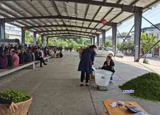 黄山有哪些茶叶市场-黄山有哪些茶叶市场地址