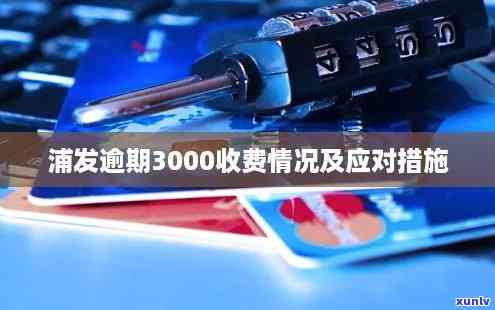 浦发银行逾期3000，逾期还款警示：浦发银行3000元债务需尽快偿还