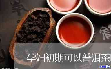 孕早期可以喝茶叶吗-孕早期可以喝茶叶吗?