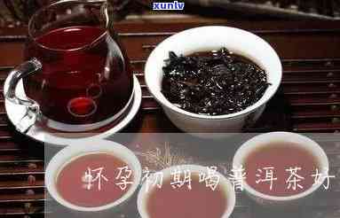 孕早期可以喝茶叶吗-孕早期可以喝茶叶吗?