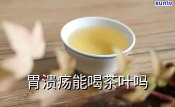 胃溃疡能喝茶叶吗？影响及注意事全解析