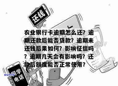 农行助学贷款逾期两年已还清，现在还能再次贷款吗？