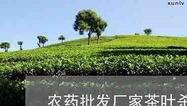 敌敌畏能打茶叶树吗-敌敌畏可以打茶叶树吗?