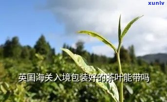 入关能带茶叶吗-入关能带茶叶吗现在