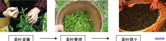 探究老干烘茶叶的功效与作用：从健角度看其益处