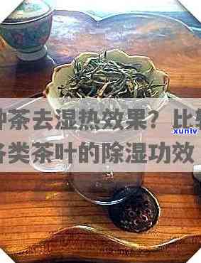 祛湿茶叶大全：种类与效果比较