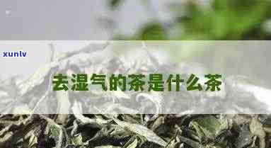 去湿的茶是什么，揭秘去湿的茶：你不知道的功效和种类