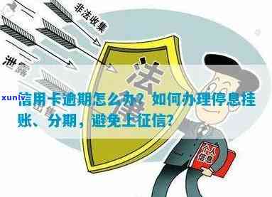 发逾期解决方案：怎样办理停息挂账与分期还款？