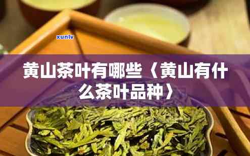 黄山的茶叶-黄山的茶叶是什么