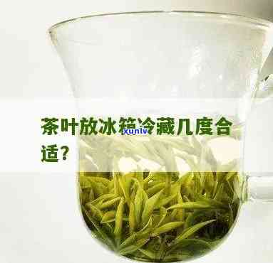 茶叶冷藏度多少合适？冷冻与冷藏有何区别？