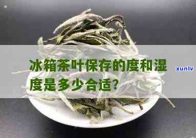 茶叶冷藏度多少合适？冷冻与冷藏有何区别？