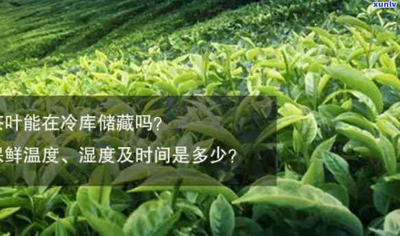 茶叶冷藏多少度合适-茶叶冷藏多少度合适?