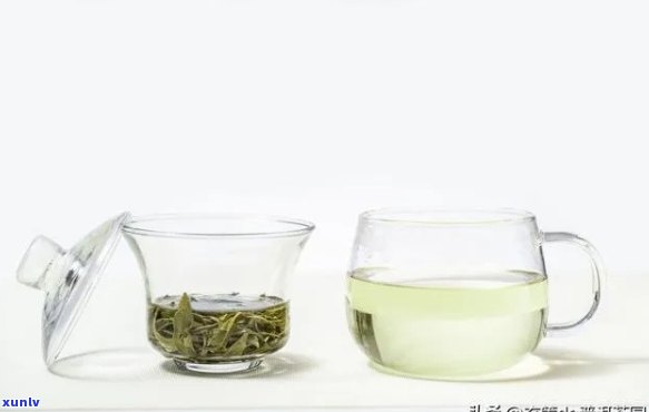 倒茶叶多少毫升才合适？详解茶叶冲泡量与技巧