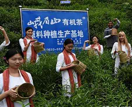 寻找峨眉山卖茶叶的地方：位置与推荐