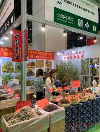 贵州有哪些茶叶市场更大？详细解析贵州更大的茶叶市场位置