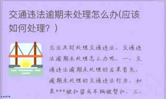 交通罚款逾期去哪里交，交通罚款逾期解决指南：去哪里交罚款？