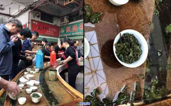 波市茶叶场有哪些，探索波茶文化：揭秘茶叶场全攻略