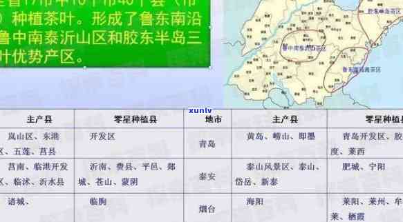 山东茶叶更大场：地址与排名全揭秘