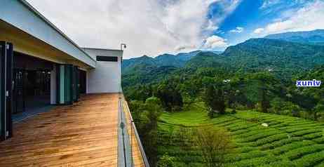 峨眉山茶叶场地址及联系方式