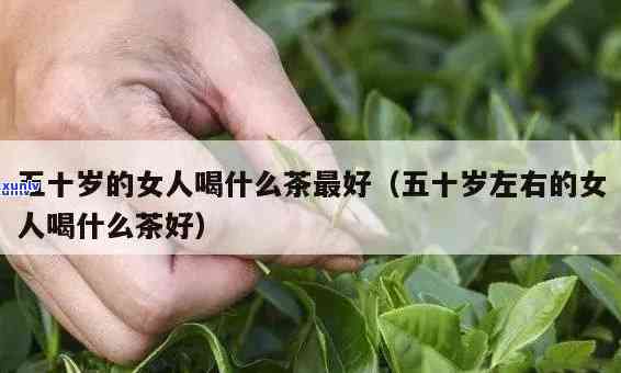 十五岁女生可以喝茶叶吗？探讨适龄饮用的留意事