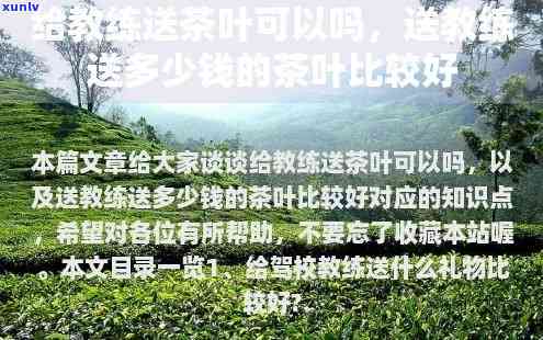 给教练送茶叶可以吗-给教练送茶叶可以吗