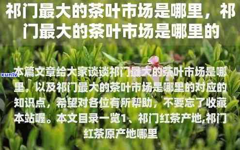 寻找门更大茶叶市场：究竟在哪里？