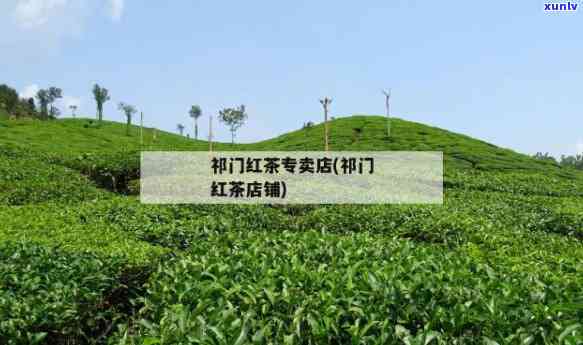 门县茶叶交易市场地址，寻找优质门红茶？门县茶叶交易市场地址全攻略！