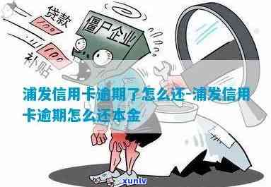 浦发应用卡还款逾期-浦发应用卡还款逾期怎么办