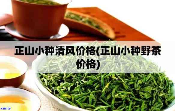 清风茶叶多少钱一盒，清风茶叶价格查询：每盒售价多少？