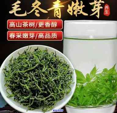 毛冬青茶叶的保质期-毛冬青茶叶的保质期是多长时间