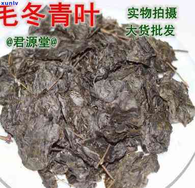 毛冬青茶叶的保质期-毛冬青茶叶的保质期是多长时间