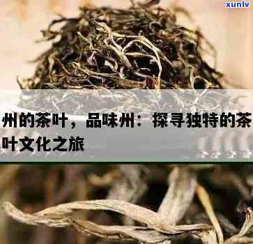 梧州茶叶，探索梧州茶叶：一种独特的中国茶文化体验