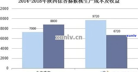 西州昭平茶叶市场定位，西州昭平茶叶市场的精准定位策略分析