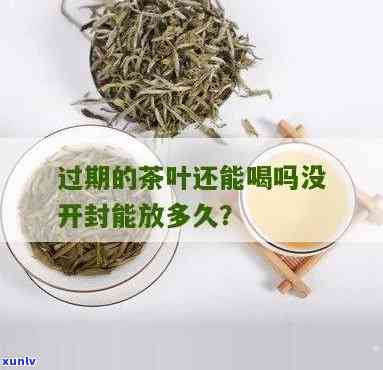 没开封的茶叶保质期-没开封的茶叶保质期多久