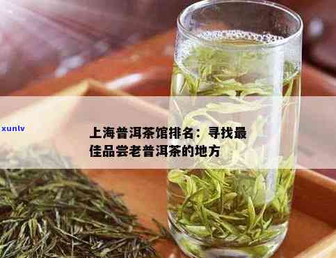 上海有哪些茶叶市场好，探寻优质茶叶？上海这些茶叶市场不容错过！