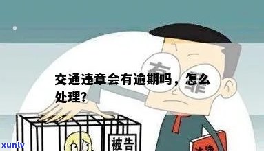 交通违规逾期未缴费怎么办？怎样办理？解决办法全在这里！