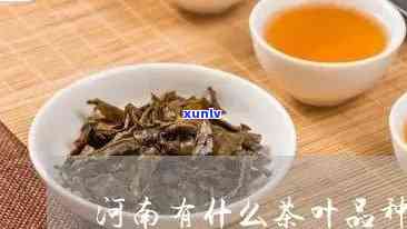 河南茶叶有哪些-河南茶叶有哪些大全