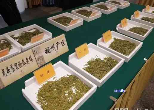 开封哪里买茶叶最划算？多处比较后发现……