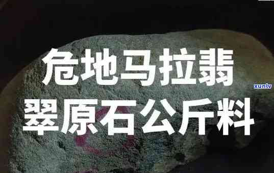 混合古树滇红和金丝滇红饮用的安全性和可行性：一次全面的探讨