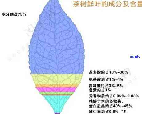 茶叶香气成分主要是加工过程中产生的，揭示茶叶香气的奥秘：主要源于加工过程中的化学反应