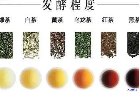 属于半发酵茶类的是，探秘茶叶世界：解析属于半发酵茶类的品种与特点