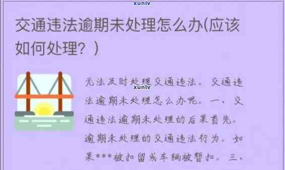 逾期不交交通罚款的法律依据，逾期未交交通罚款的法律责任及其相关法规解析