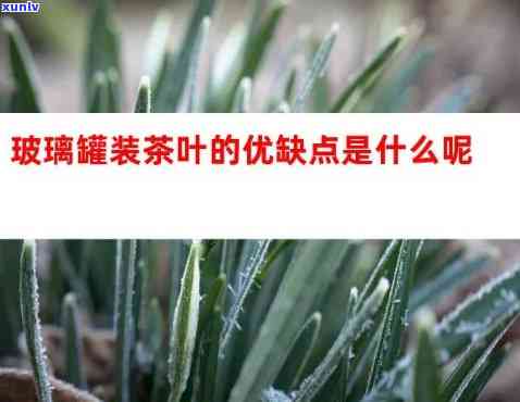 玻璃茶叶罐场-玻璃茶叶罐场在哪里