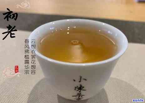 云南大叶种普洱熟茶