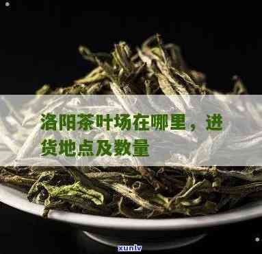 洛阳的茶叶市场在哪里，寻找好茶？洛阳茶叶市场全攻略！