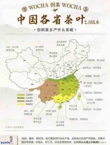 中国茶叶的原产地是-中国茶叶的原产地是哪里?