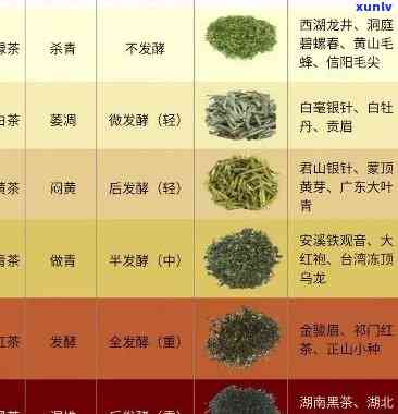 现在最有名的茶叶品种是什么？